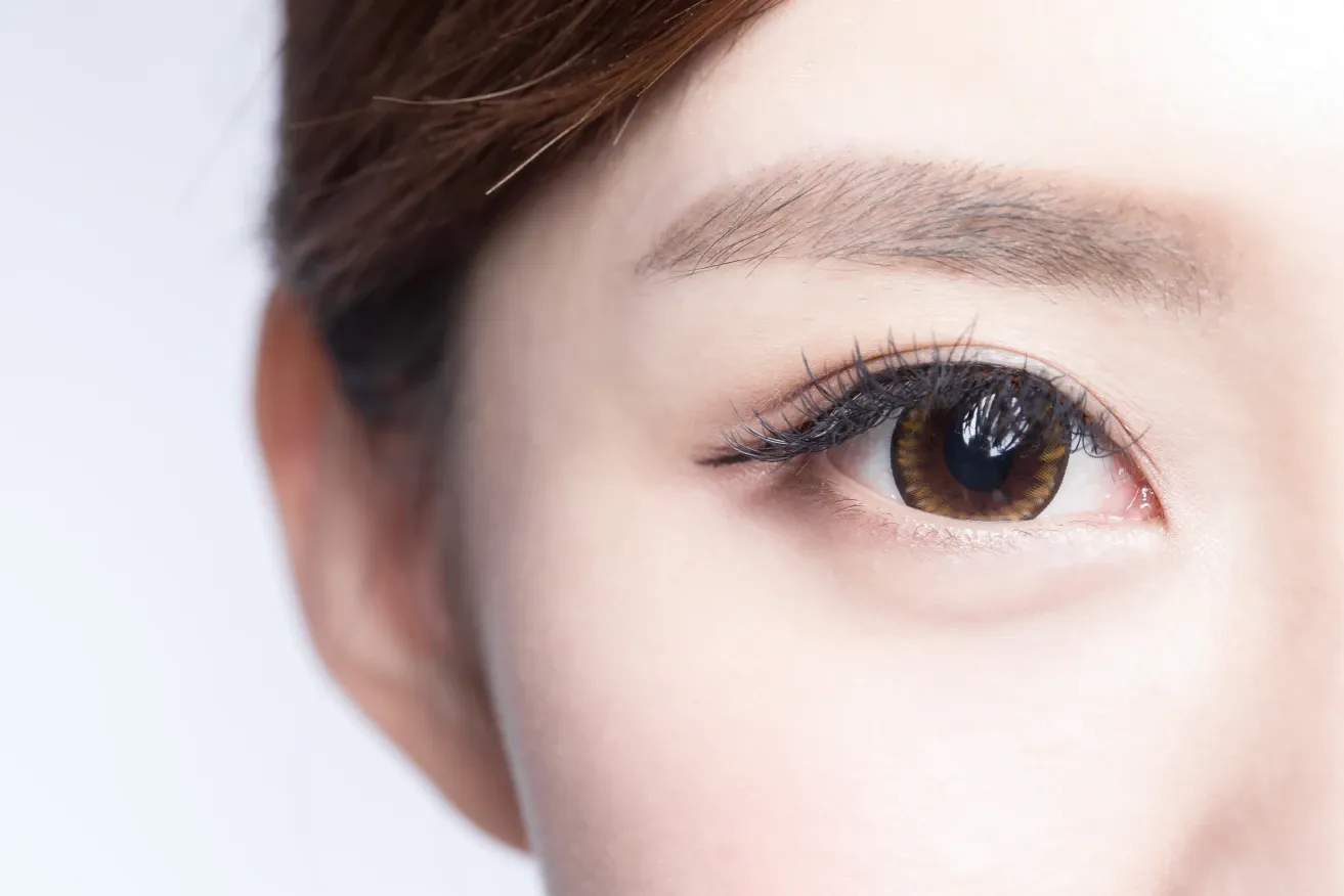 Close-up of an eye model