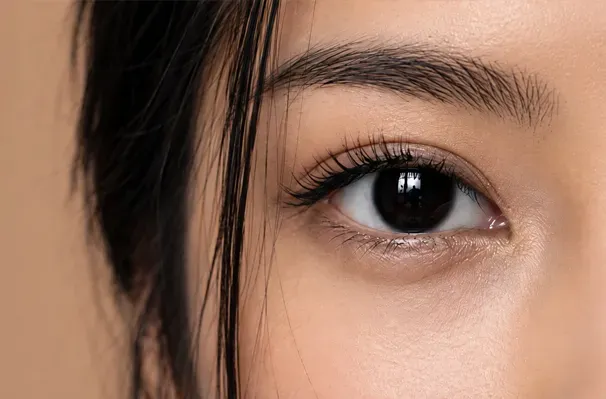 Eyelid